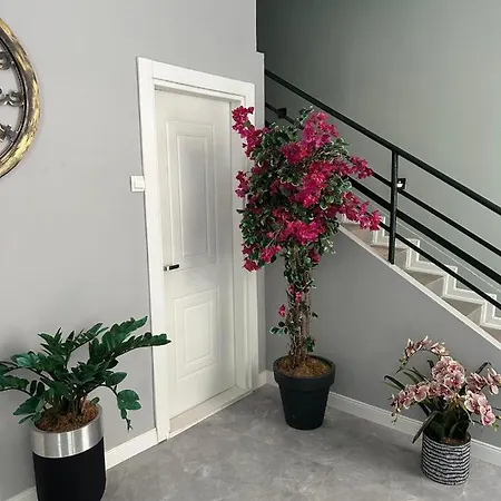 St945 Hotel *